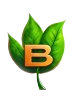 Buybils